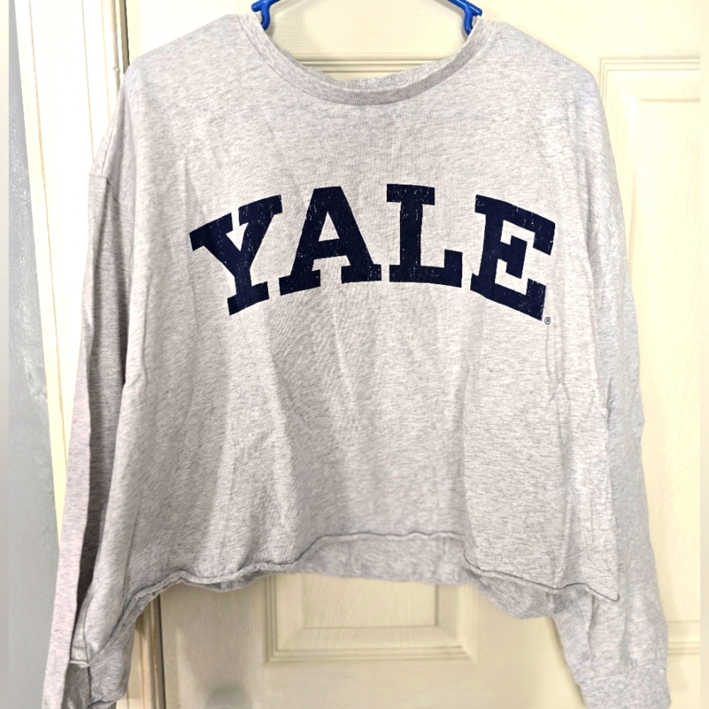 This is a gray Yale University crop l/s with the school's name printed in navy